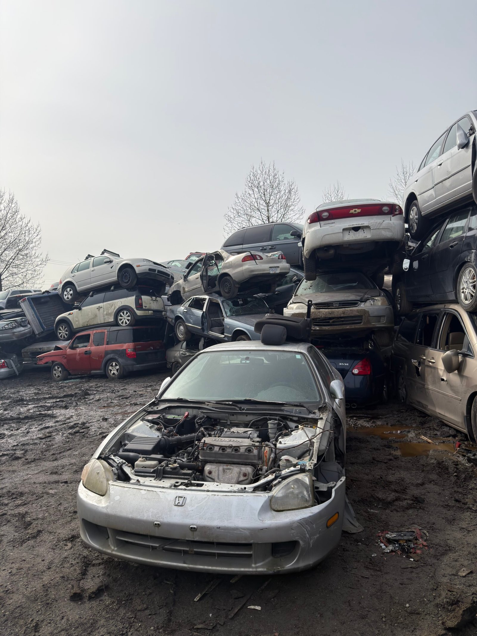 Free scrap car towing on a flatbed in Ladner Delta